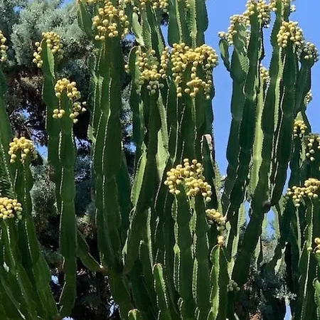 Maravilloso Playa-jardin Botanico In Vera Playa, Almeria * Playas de Vera